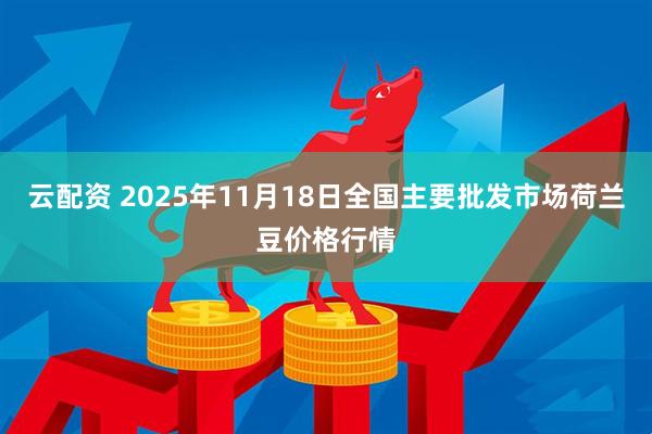云配资 2025年11月18日全国主要批发市场荷兰豆价格行情