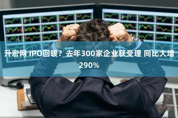 升宏网 IPO回暖？去年300家企业获受理 同比大增290%